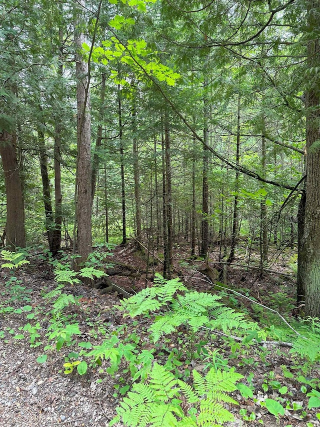 LOT42 Birchcrest, Kalkaska, MI 19646 - photo 3