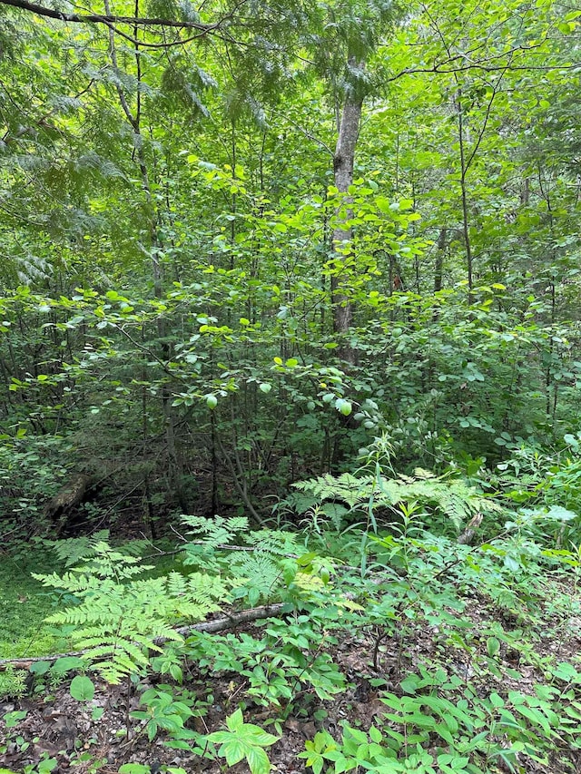 LOT42 Birchcrest, Kalkaska, MI 19646 - photo 4