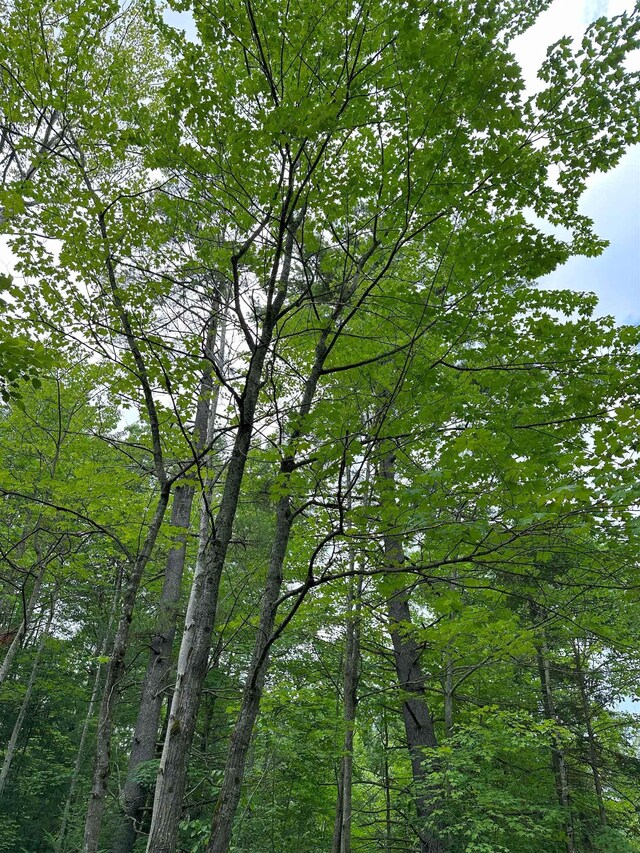LOT42 Birchcrest, Kalkaska, MI 19646 - photo 7