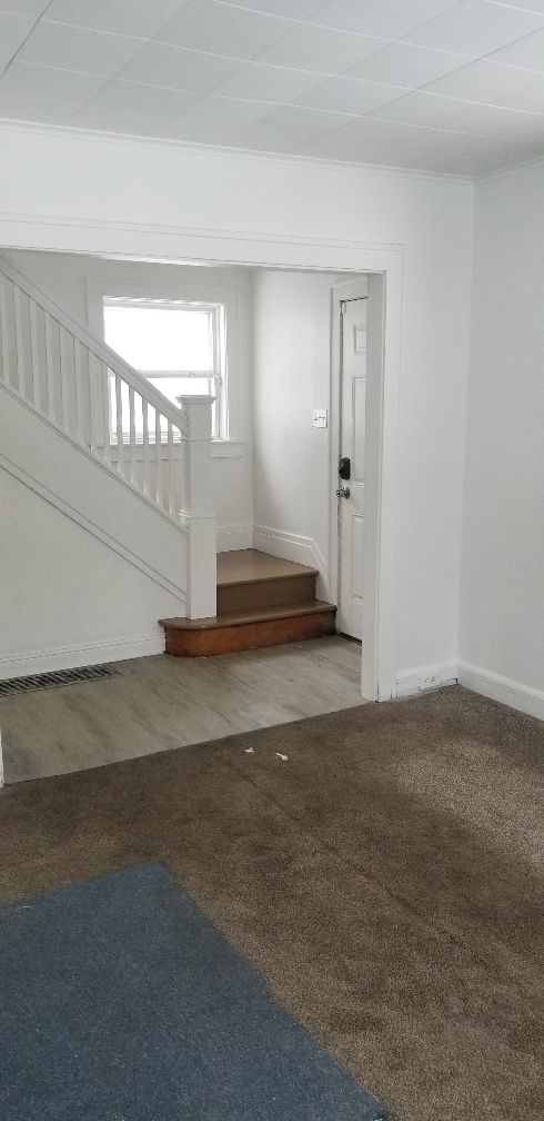 stairs featuring carpet and ornamental molding