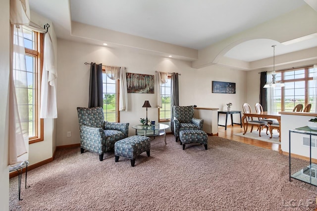 living area featuring plenty of natural light and carpet floors