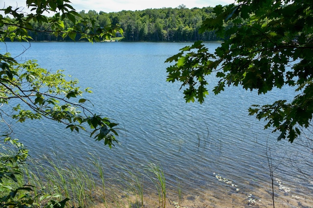 view of water feature