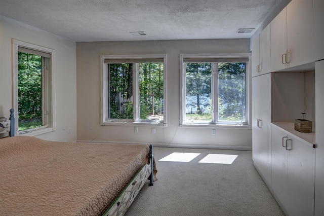 unfurnished bedroom with light colored carpet, a textured ceiling, and multiple windows