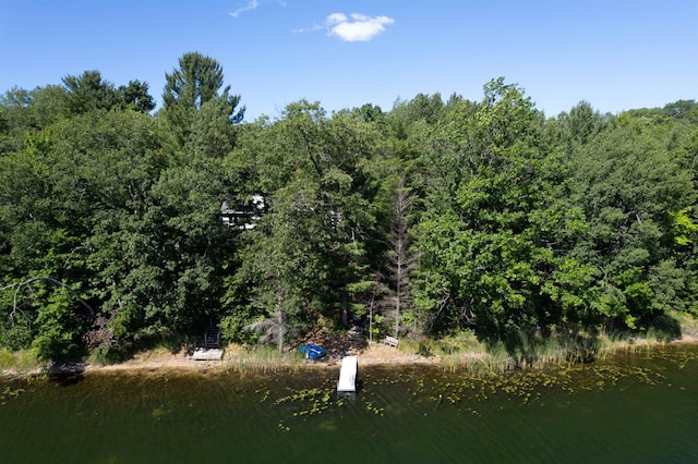 view of local wilderness featuring a water view