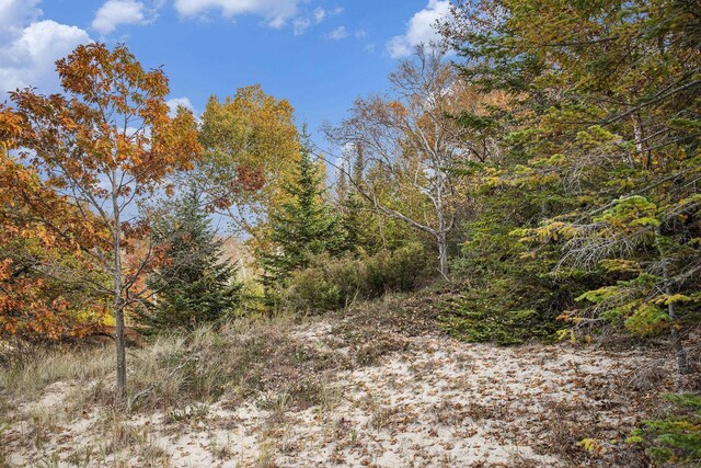 0 Sylvan Rd, Frankfort, MI 49635