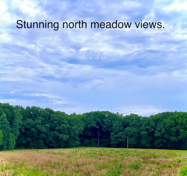 9400 Kruger Rd, Union Pier, MI 49129 - view of wooded area