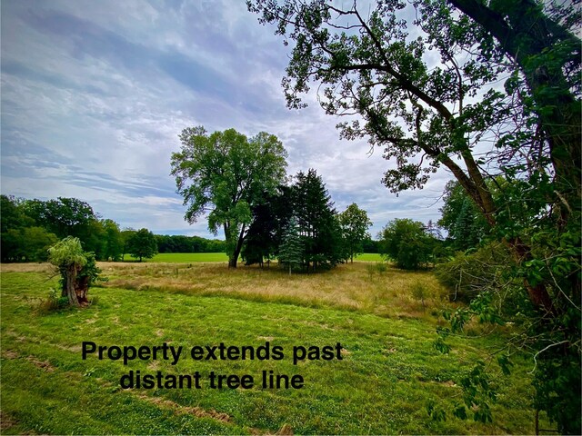 9400 Kruger Rd, Union Pier, MI 49129 - view of grassy yard