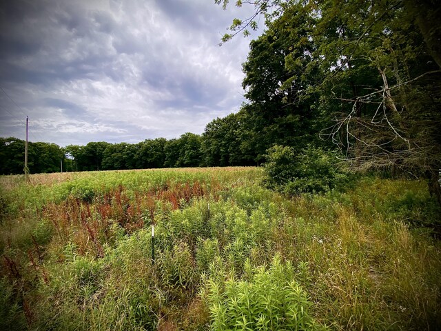 9400 Kruger Rd, Union Pier, MI 49129 - view of wooded area