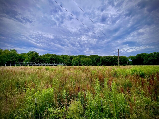 9400 Kruger Rd, Union Pier, MI 49129 - view of wooded area