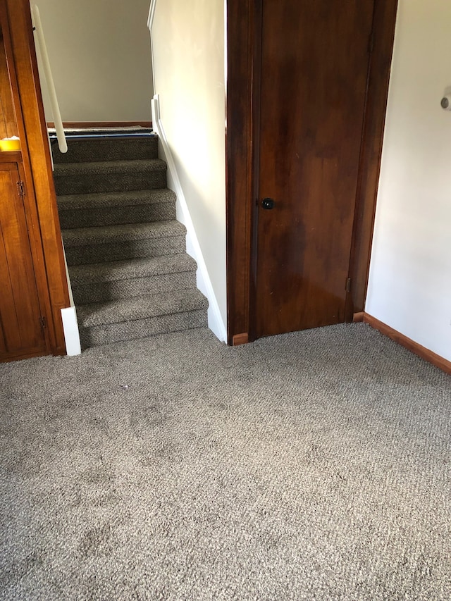 5510 Berkley Dr, Waterford, MI 48327 - stairs with carpet and baseboards