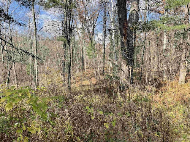 0 Silver Creek Rd, Prescott, MI 48756
