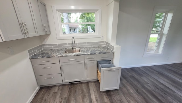 kitchen with sink and dark hardwood / wood-style floors