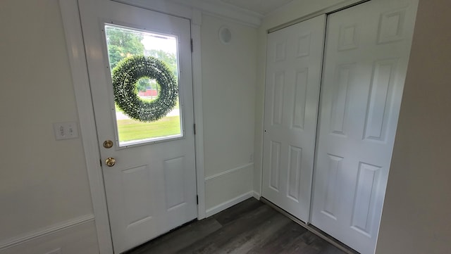 doorway featuring dark hardwood / wood-style floors and plenty of natural light