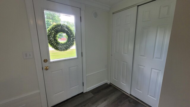 203 E Mill St, Athens, MI 49011 - entryway featuring healthy amount of natural light, dark wood-style floors, and baseboards