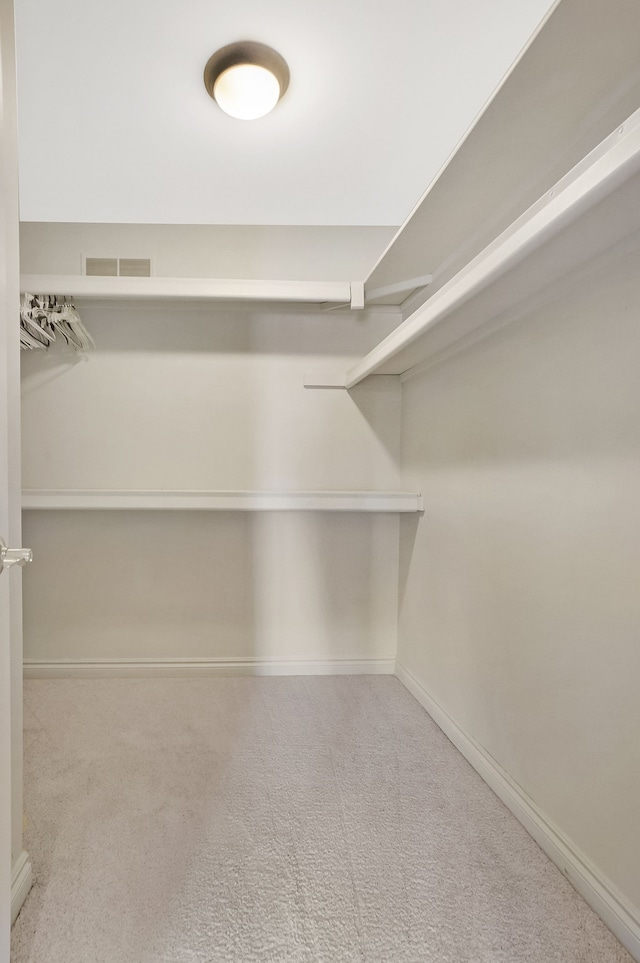 spacious closet with carpet floors