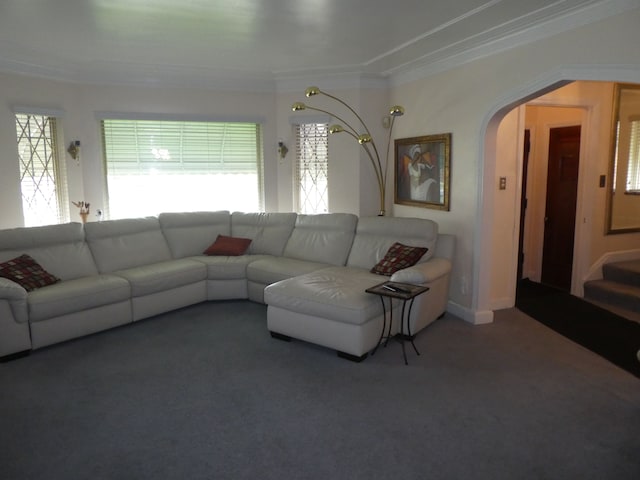 living room featuring carpet flooring and crown molding