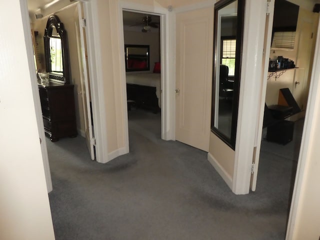 hall featuring plenty of natural light and carpet