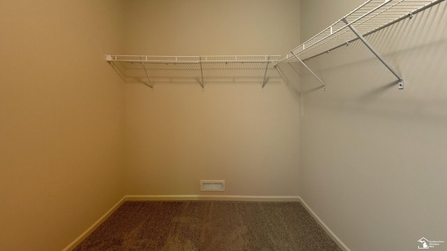 spacious closet featuring carpet floors