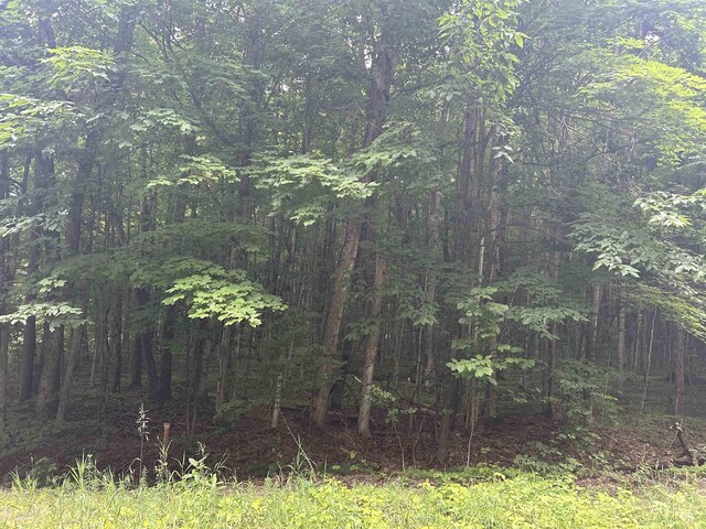 V/L Valley Wood Dr, Bellaire, MI 49615