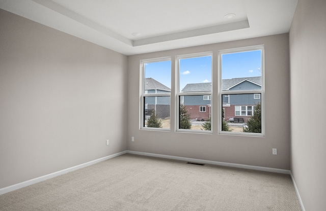 empty room featuring carpet flooring and a raised ceiling