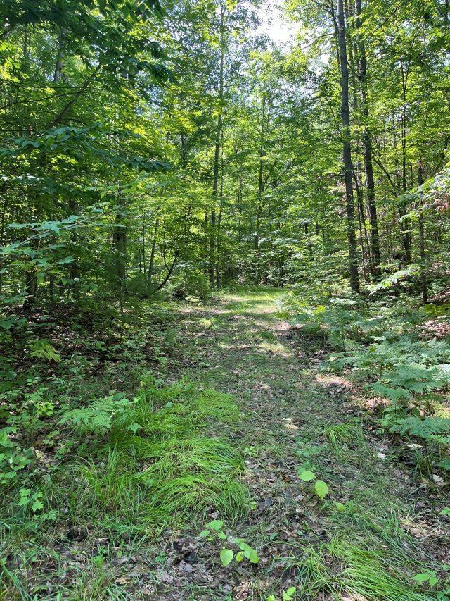 211 Logging Trl, Leroy, MI 49655