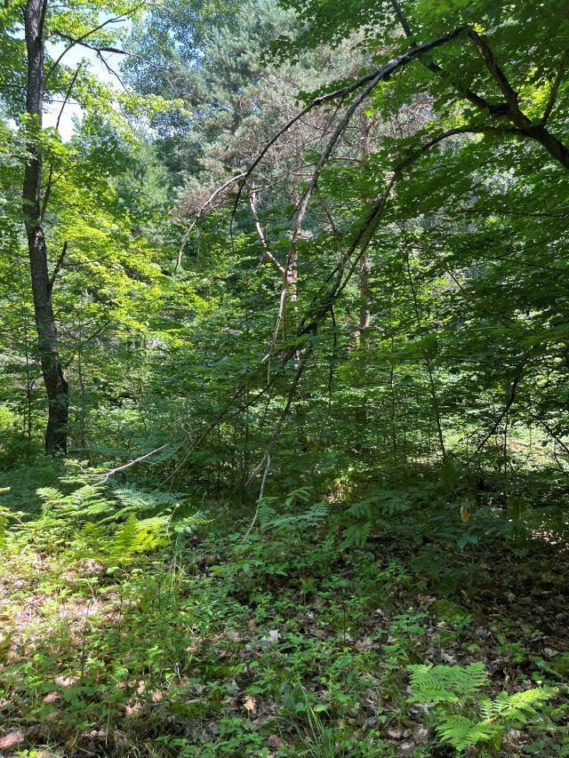 211 Logging Trl, Leroy, MI 49655