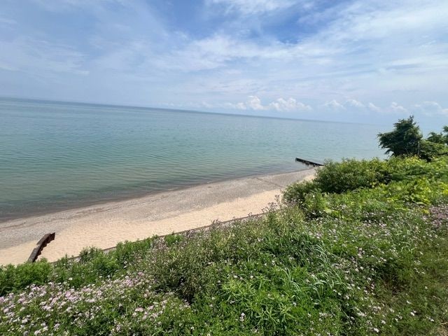 7153 Cedar Rd, Lexington, MI 48450 - property view of water with a view of the beach