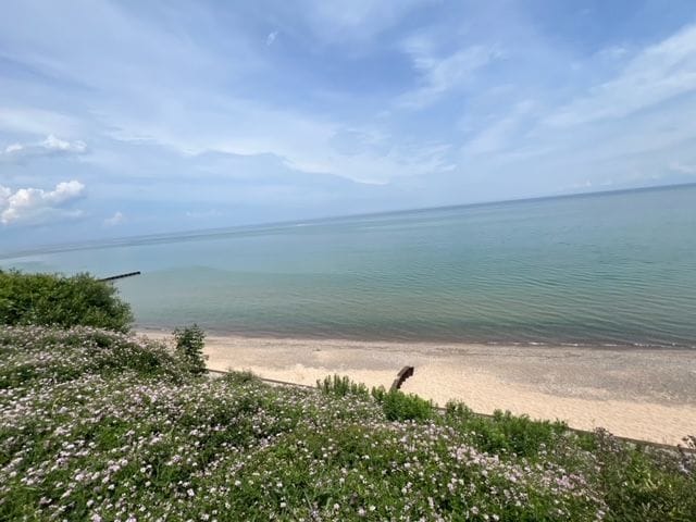 property view of water featuring a beach view