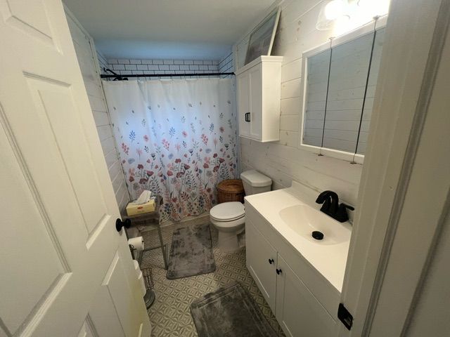 bathroom featuring vanity, a shower with shower curtain, and toilet