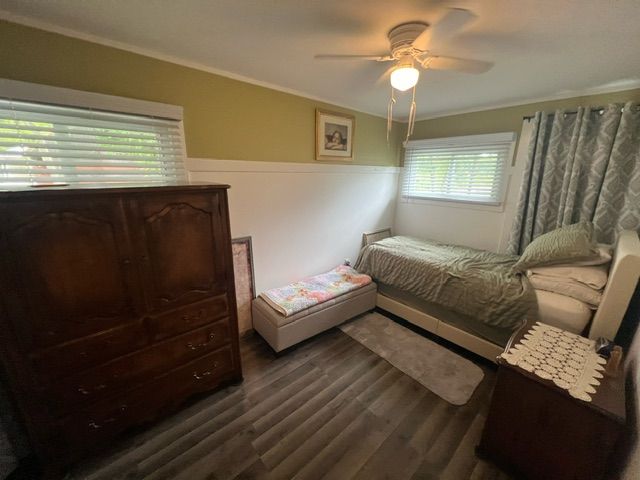 bedroom with crown molding, multiple windows, dark wood-type flooring, and ceiling fan