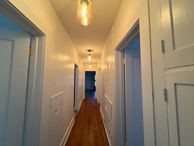 hall featuring dark wood-type flooring