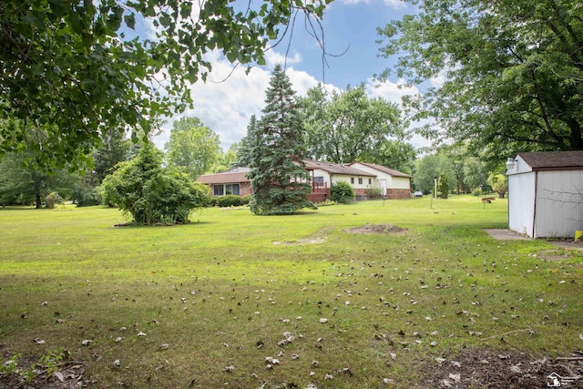 view of yard featuring a shed