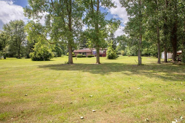 28237 W Huron River Dr, Huron, MI 48134 - view of grassy yard featuring view of wooded area