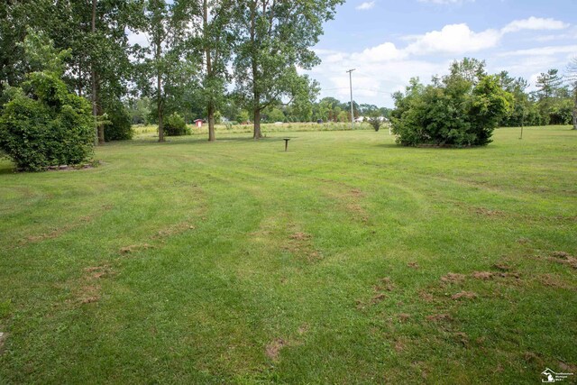 28237 W Huron River Dr, Huron, MI 48134 - view of green lawn