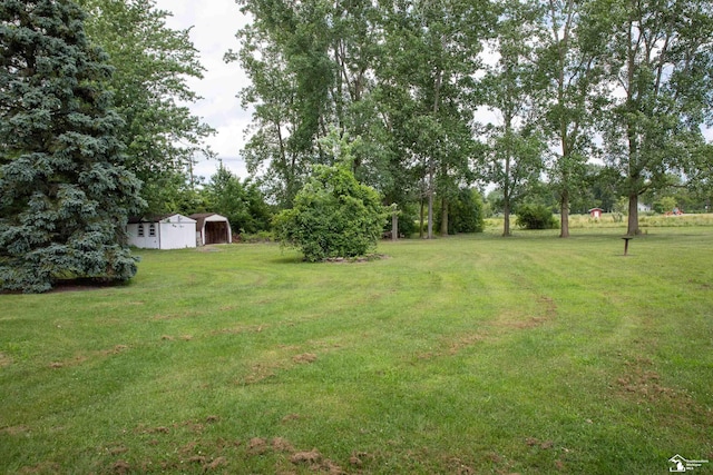 view of yard with an outdoor structure