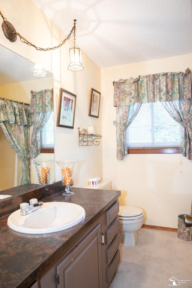 28237 W Huron River Dr, Huron, MI 48134 - bathroom with vanity, toilet, and a shower with shower curtain