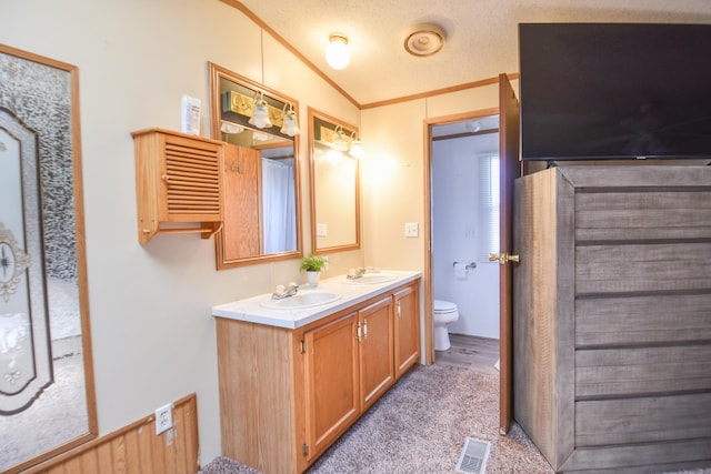 bathroom with vanity, crown molding, vaulted ceiling, toilet, and a textured ceiling