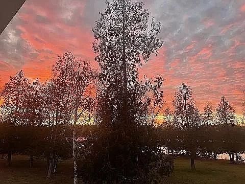 view of nature at dusk