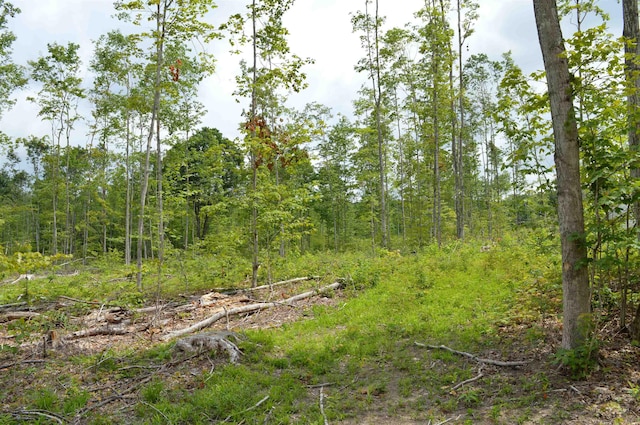 Hardwood, Elmira, MI 49730