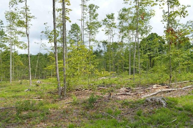 Hardwood, Elmira, MI 49730