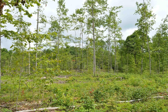 Hardwood, Elmira, MI 49730
