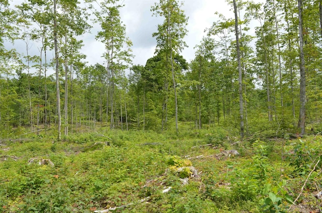 Hardwood, Elmira, MI 49730