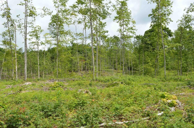 Hardwood, Elmira, MI 49730