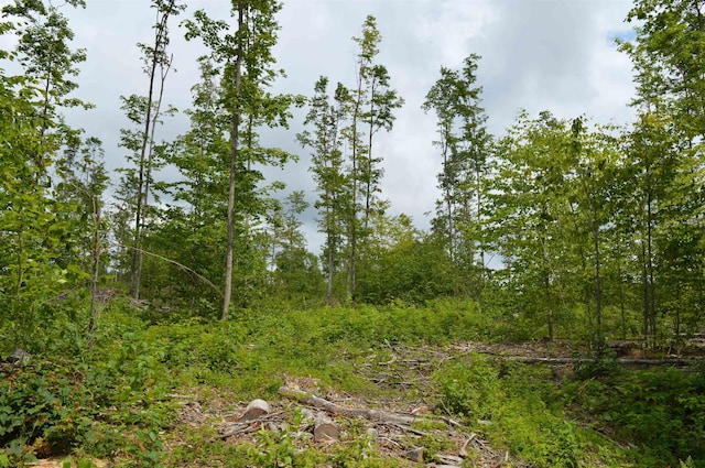 Hardwood, Elmira, MI 49730
