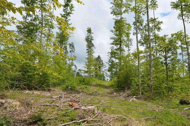 Hardwood, Elmira, MI 49730