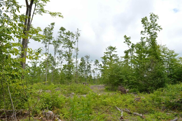 Hardwood, Elmira, MI 49730
