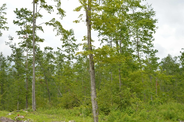 Hardwood, Elmira, MI 49730