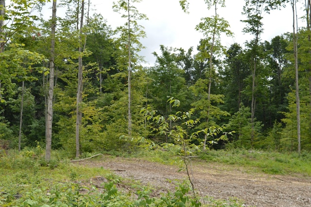 Hardwood, Elmira, MI 49730