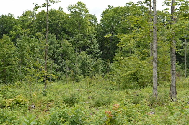 Hardwood, Elmira, MI 49730