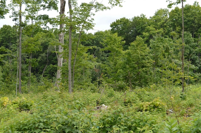 Hardwood, Elmira, MI 49730